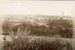 Vue du camp des olviers à Meknès