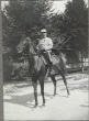 Commandant Damotte