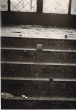 La Synagogue Rabbi Eliaou de Casablanca vandalisée en 1950