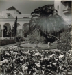 Patio de la résidence