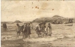 Landing Passengers