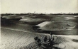 Dans les dunes