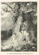 Poste de Koudiat-el Biad - La source Aïn-Touda