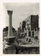 Le site de Volubilis