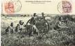 Campagne du Maroc ''Mitrailleuse de Cavalerie''
