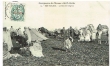 Le Marché indigène à Ber-Rchid