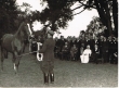 Le Sultan Mohamed V