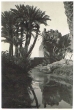 Le Sud du Maroc