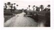 Palmeraie et Kasbah de Tafilalet
