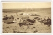 Campement sous les tentes