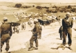 Camp pour un départ de juifs marocains