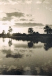 Bassin de la Ménara à Marrakech avec ses ombres de palmiers dans le soir