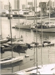 Port des voiliers