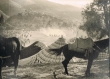 Moulay Idriss - Le moussem