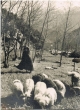 La vallée de l'Ourika
