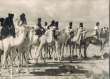 Méharistes marocains