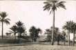 Dunes de Taouz