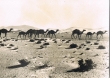 Dunes de Taouz