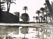Kasbah dans la palmeraie