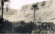 Vallée du Draa et Palmeraie