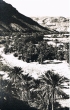 La vallée du Ziz