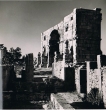 Vue des ruines de Volubilis