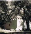 Le Marabout de Sidi Yahia à Oujda