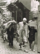 Muletier dans une ruelle, Médina Fès