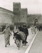 Le Mechouar, Fès Jdid