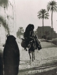 Homme sur son âne dans le sud marocain