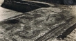 Volubilis : Mosaïques de la pêche