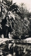 Tizimi : La source bleue