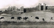 Ruines du Chella