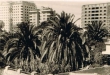 Immeubles modernes au centre ville de Casablanca