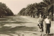 Avenue de France