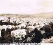Fès el Bali : La route de Bab Ftouh