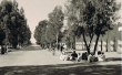 Rue principale à Goulmima
