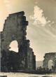 Les ruines de Volubilis