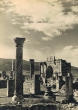 Les ruines de Volubilis