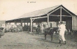 Settat
