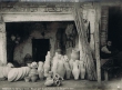 Boutique d'un marchand de poteries