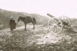 Au Rif Canon Krupp en batterie devant un indigène tient en main le cheval d'Abdel Krim