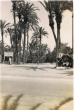 La Palmeraie de Marrakech