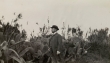 Jardin de figues et de cactus